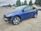 2023 TESLA MODEL  Y
