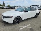 2024 HONDA ACCORD