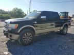 2009 FORD F150