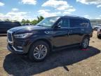 2020 INFINITI QX80