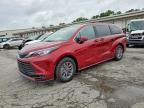 2025 TOYOTA SIENNA