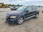 2010 VOLKSWAGEN TIGUAN