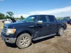 2013 FORD F150