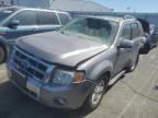 2008 FORD ESCAPE