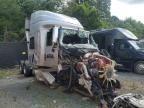 2017 INTERNATIONAL PROSTAR