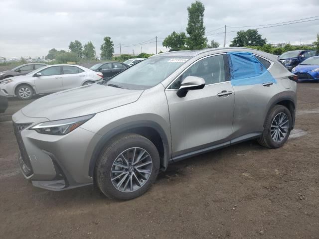 2025 LEXUS NX