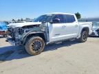 2023 TOYOTA TUNDRA