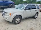 2009 FORD ESCAPE
