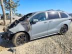 2024 TOYOTA SIENNA