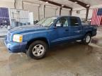 2005 DODGE DAKOTA