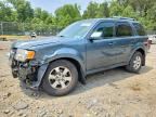 2010 FORD ESCAPE