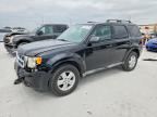 2011 FORD ESCAPE