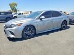2019 TOYOTA CAMRY HYBRID