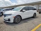2026 HONDA ODYSSEY