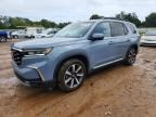 2023 HONDA PILOT