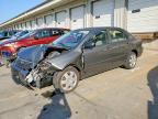 2008 TOYOTA COROLLA