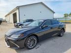 2025 LEXUS ES 350
