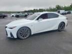 2024 LEXUS IS 350