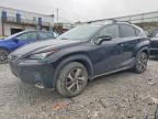 2019 LEXUS NX 300