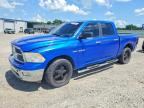 2010 DODGE RAM 1500