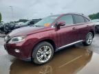 2013 LEXUS RX