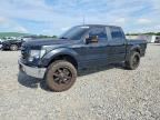 2009 FORD F150