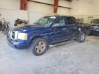 2007 DODGE DAKOTA