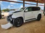 2013 LEXUS GX