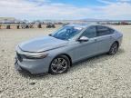2023 HONDA ACCORD