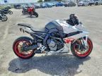 2024 SUZUKI GSX800