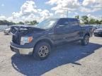 2010 FORD F150