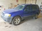 2005 FORD ESCAPE