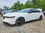 2023 HONDA ACCORD