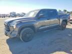 2025 TOYOTA TUNDRA