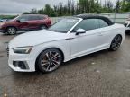 2024 AUDI S5