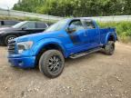 2014 FORD F150