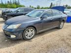 2010 LEXUS ES