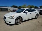 2013 NISSAN MAXIMA