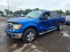 2011 FORD F150