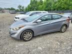 2014 HYUNDAI ELANTRA