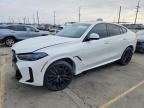 2024 BMW X6