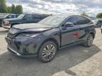 2024 TOYOTA VENZA