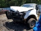 2019 FORD F250
