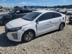 2019 HYUNDAI IONIQ