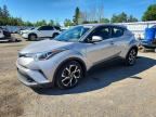 2019 TOYOTA C-HR