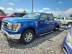 2023 FORD F150