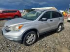 2010 HONDA CR-V
