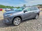 2024 TOYOTA RAV4 HYBRID