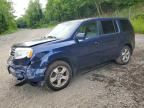 2013 HONDA PILOT