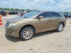 2009 TOYOTA VENZA